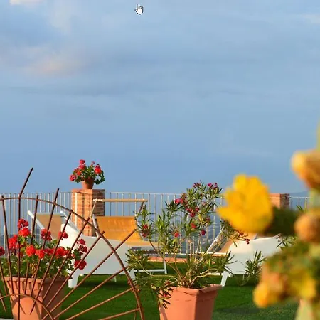 Quiete スパダフォーラ