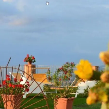 Quiete スパダフォーラ