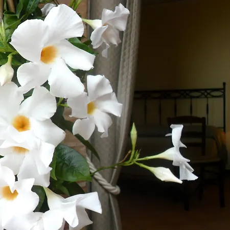 Quiete スパダフォーラ